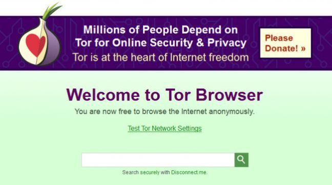 Online privacy Tor 1